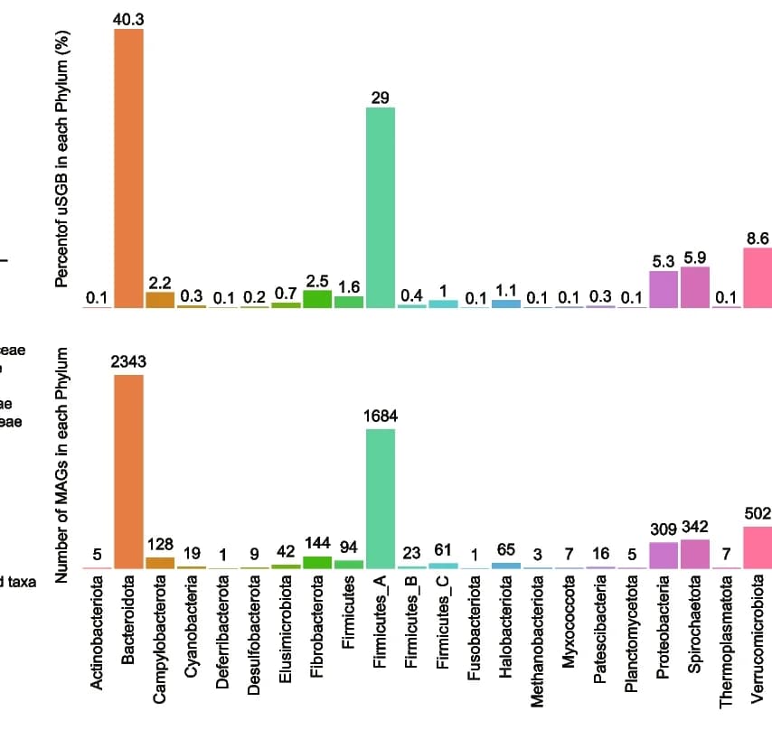 Open access visualization of Bar Plot, MAGs, Unknown SGB, Phylum, Reference Genome