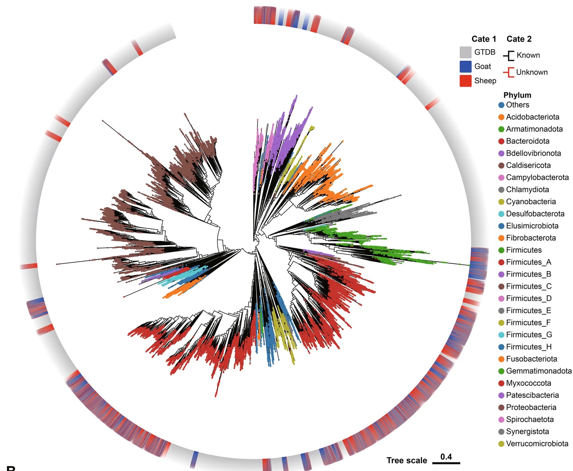 Open access visualization of Network, Bar Plot, Maximum-likelihood Phylogenetic Tree, MAGs, GTDB Database