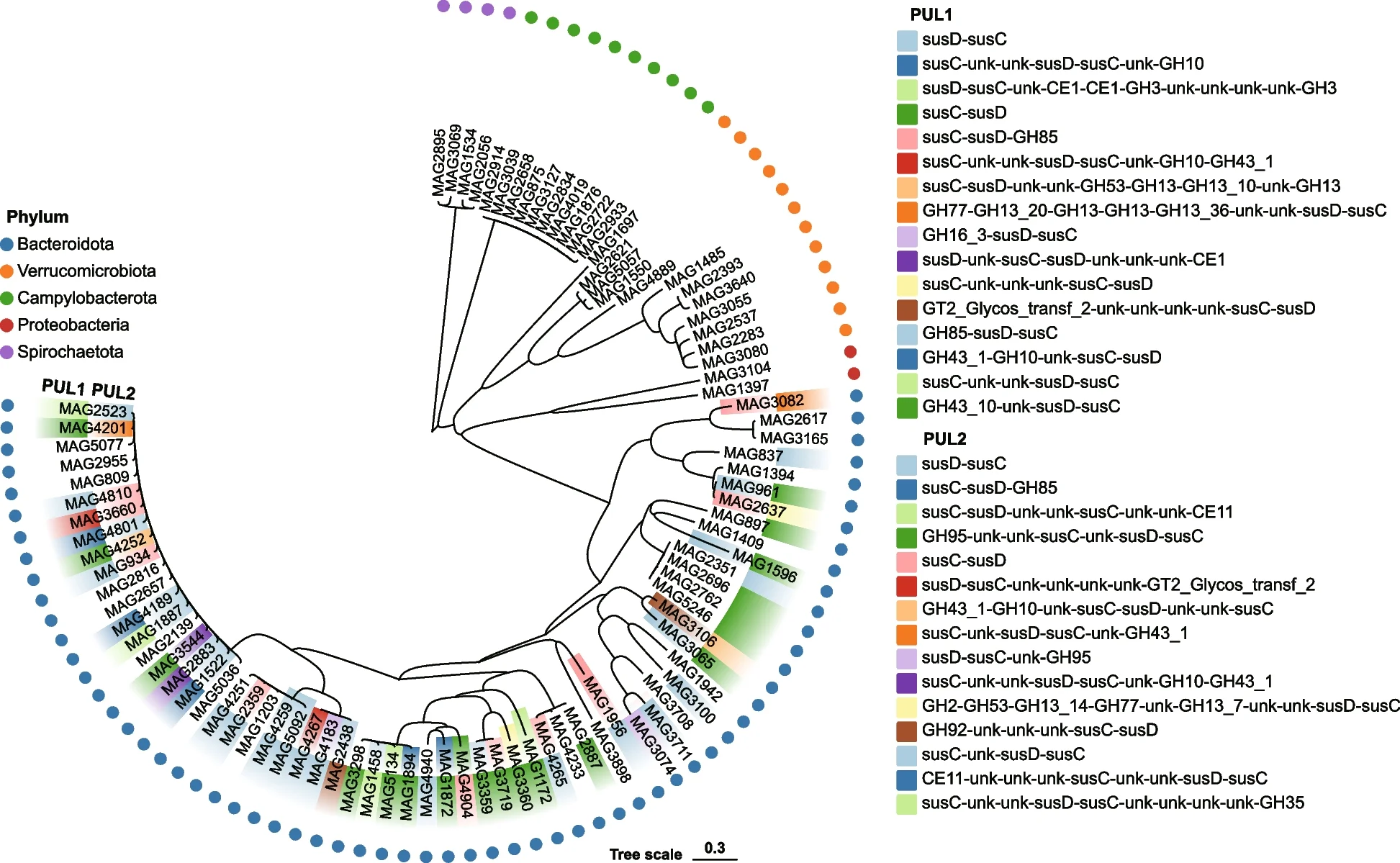 Open access visualization of Network, Pathway, Phylogenetic Tree, MAGs, Sheep