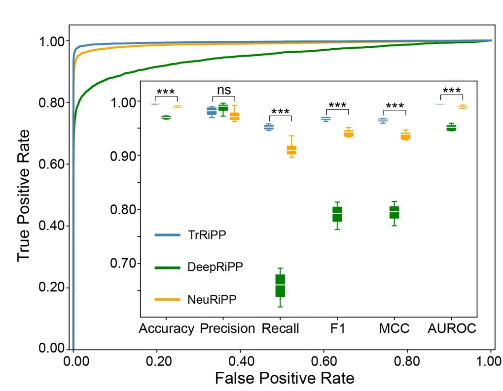 Open access visualization of Line Plot, Box Plot, Receiver Operating Characteristic Curves, ROC Curves, NeuRiPP