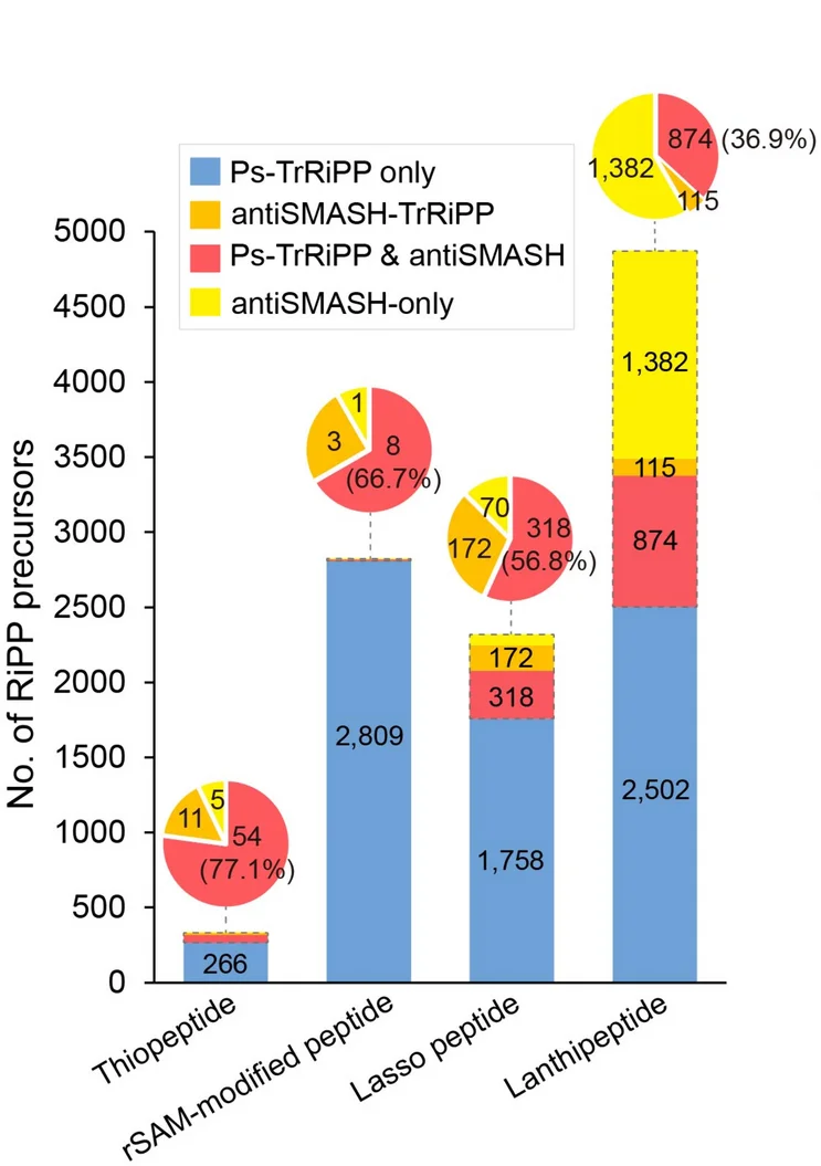 Open access visualization of Bar Plot, Stacked Bar Plot, Pie Chart, TrRiPP, AntiSMASH