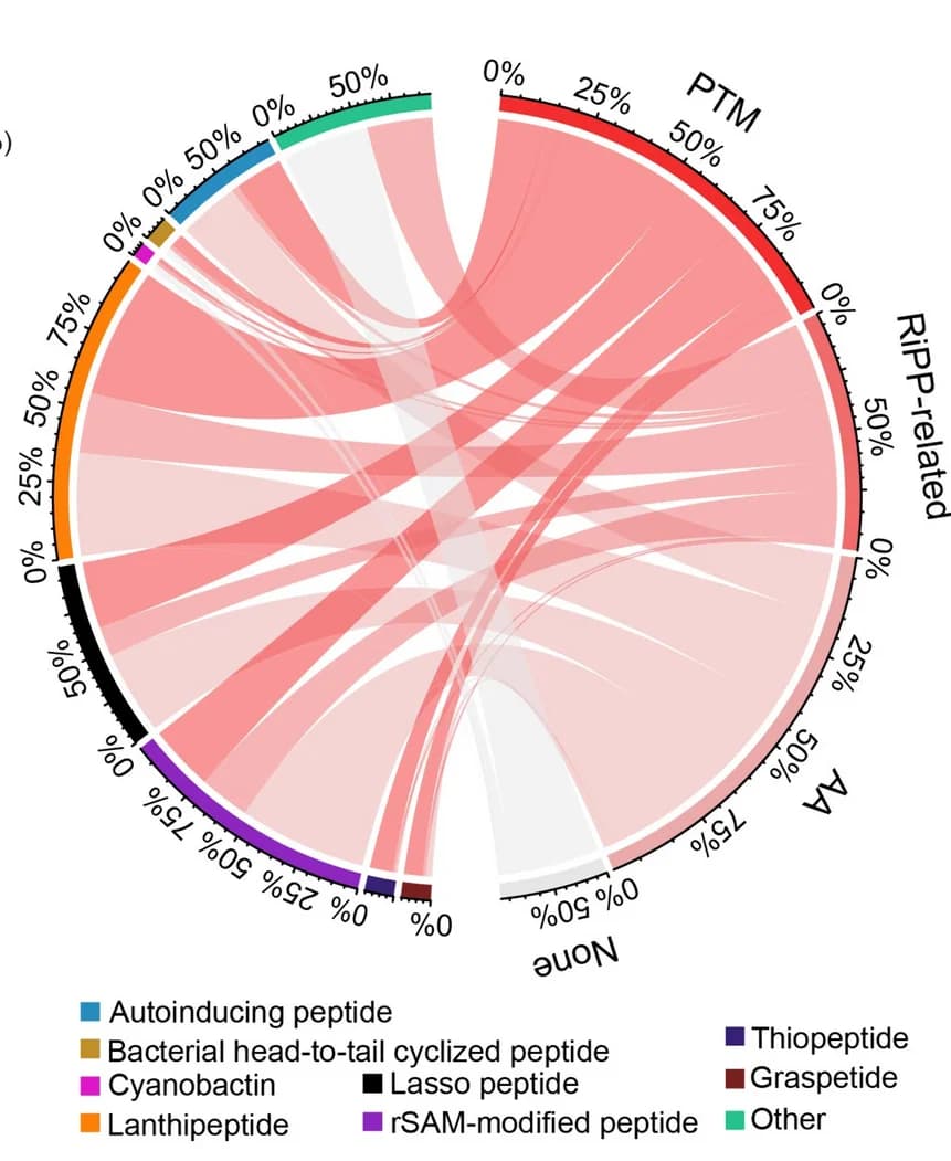 Open access visualization of Chord, RiPPs, TrRiPP, Bacterial Complete Genomes, Post-Translational Modification