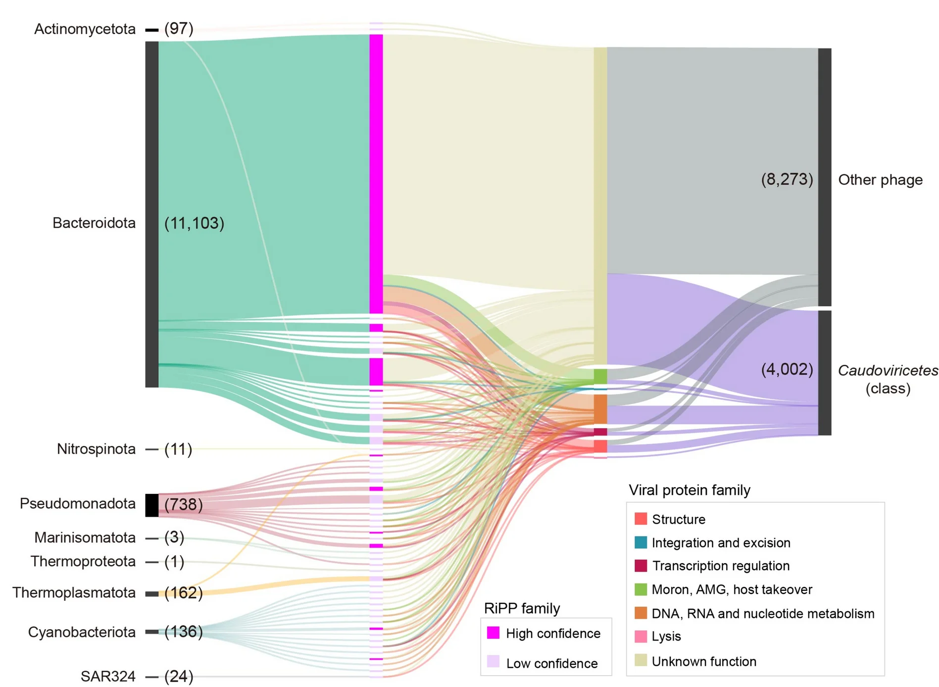 Open access visualization of Sankey, RiPP, Phage-Host Interaction, Network Visualization, Prokaryotic Phyla