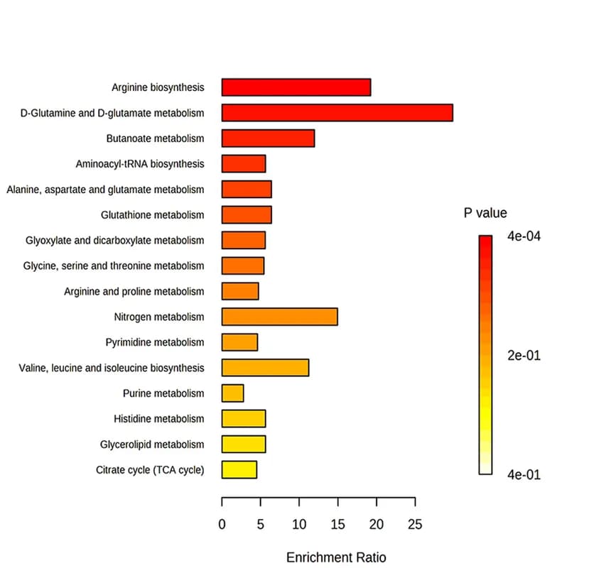 Open access visualization of Bar Plot, Pathway Analysis, Metabolites, Amino Acid Metabolism, Short-Chain Fatty Acid Metabolism