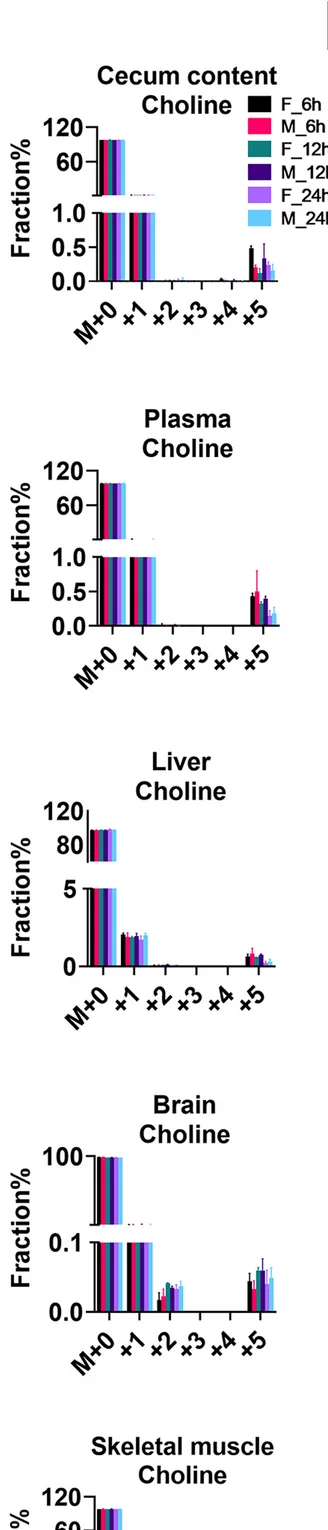 Open access visualization of Bar Plot, Error Bars, Clustered, 13 C Fractional Enrichment, Choline Isotopologues