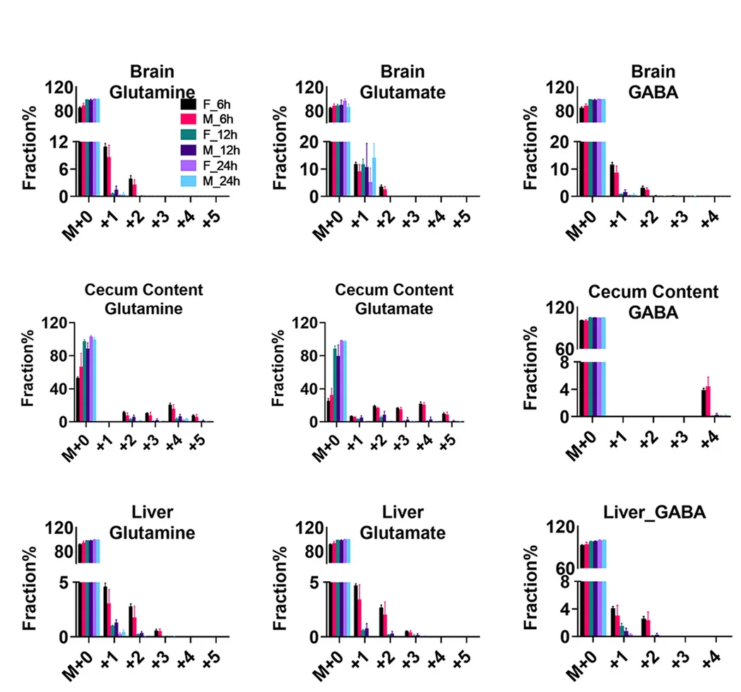 Open access visualization of Bar Plot, Error Bars, Clustered, Glutamine, Glutamate