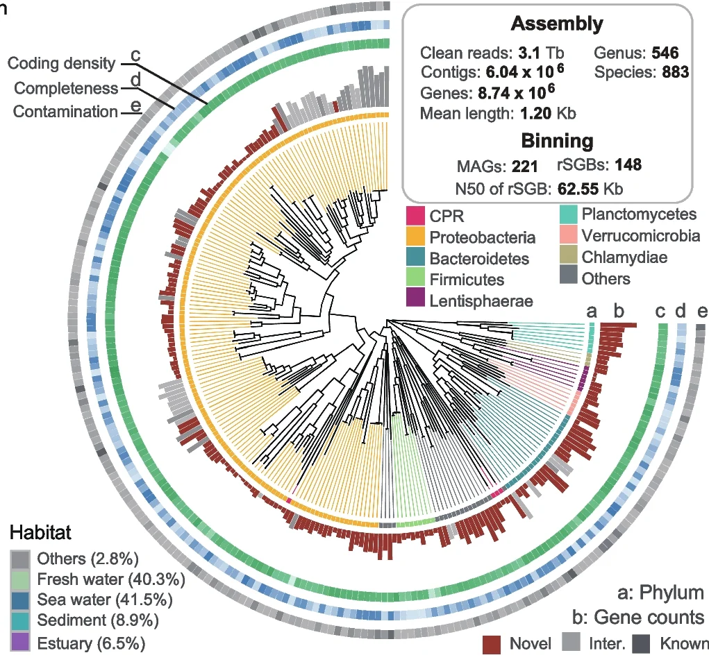 Open access visualization of Phylogenetic Tree, Bar Plot, Pie Chart, Maximum-Likelihood Phylogenetic Tree, rSGBs