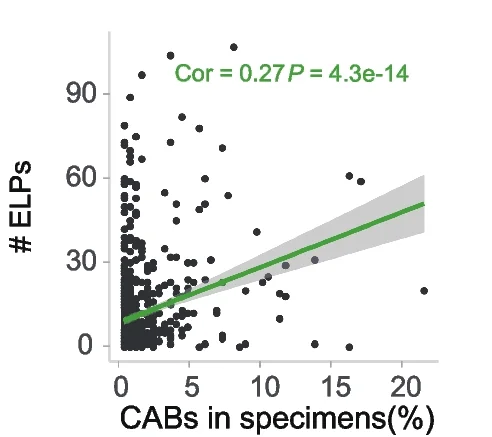 Open access visualization of Scatter Plot, Regression Plot, Spearman Correlation Analysis, ELPs, CABs