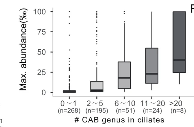 Open access visualization of Box Plot, Symbiotic Bacteria, Genus Level, Ciliates, Abundance
