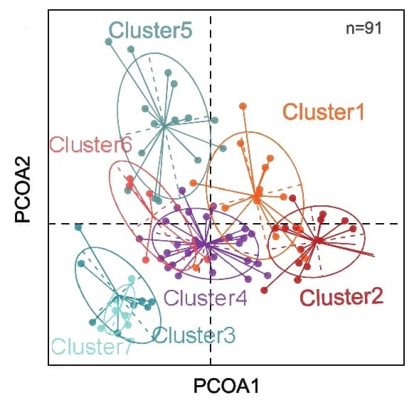 Open access visualization of Scatter Plot, PCA, PCoA, Clustering Analysis, Symbiotic Communities