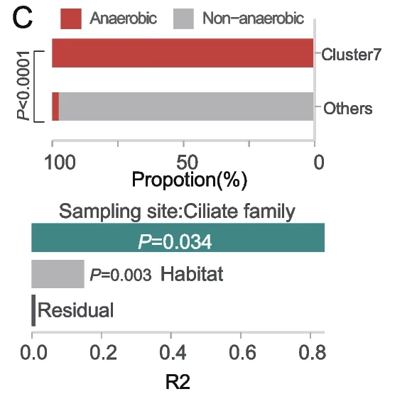 Open access visualization of Bar Plot, R2 Values, CABs Community, Ciliate Species, Permanova Test