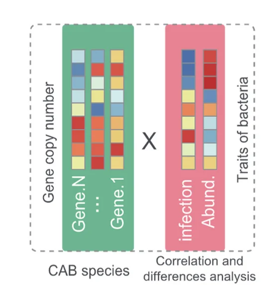 Open access visualization of Illustration, Schematic Representation, Functionally Relevant Genes