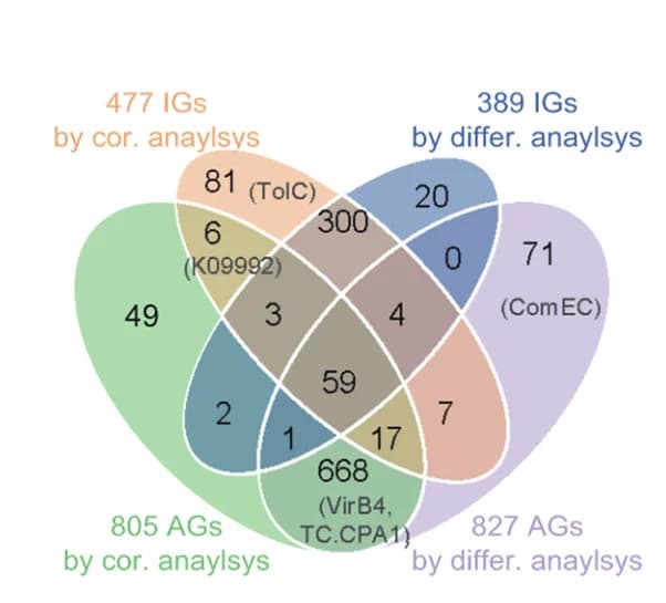 Open access visualization of Venn Diagram, Infection-Associated Genes, Abundance-Associated Genes, IGs, AGs