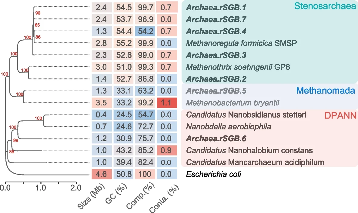 Open access visualization of Network, Heatmap, Phylogenetic Tree, Genome Size, GC Content