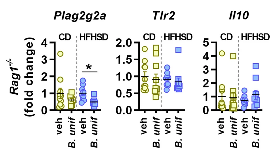 Open access visualization of Scatter Plot, mRNA, Ileum, Rag1 -/- Mice, Control Diet