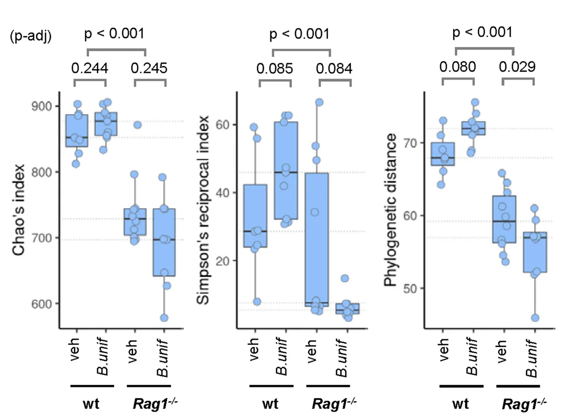 Open access visualization of Box Plot, Scatter Plot, Chao’s Richness, Simpson’s Reciprocal Index, Phylogenetic Distance Estimators