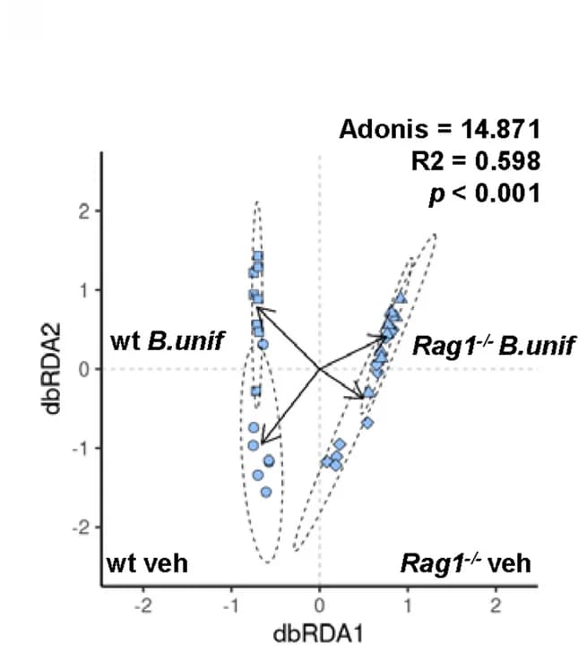 Open access visualization of Scatter Plot, Bray–Curtis, Redundant Analysis, Microbiota Structure, Genotype