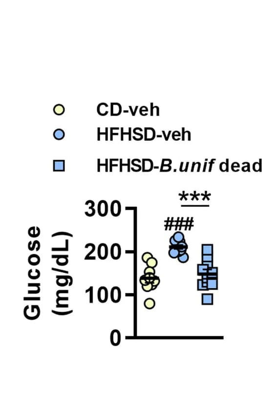 Open access visualization of Scatter Plot, Fasting Glucose, Plasma, HFHSD Diet, In Vivo