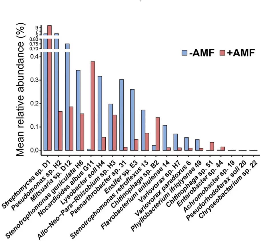 Open access visualization of Bar Plot, Clustered, ASVs, Soil Types, Fungal Species