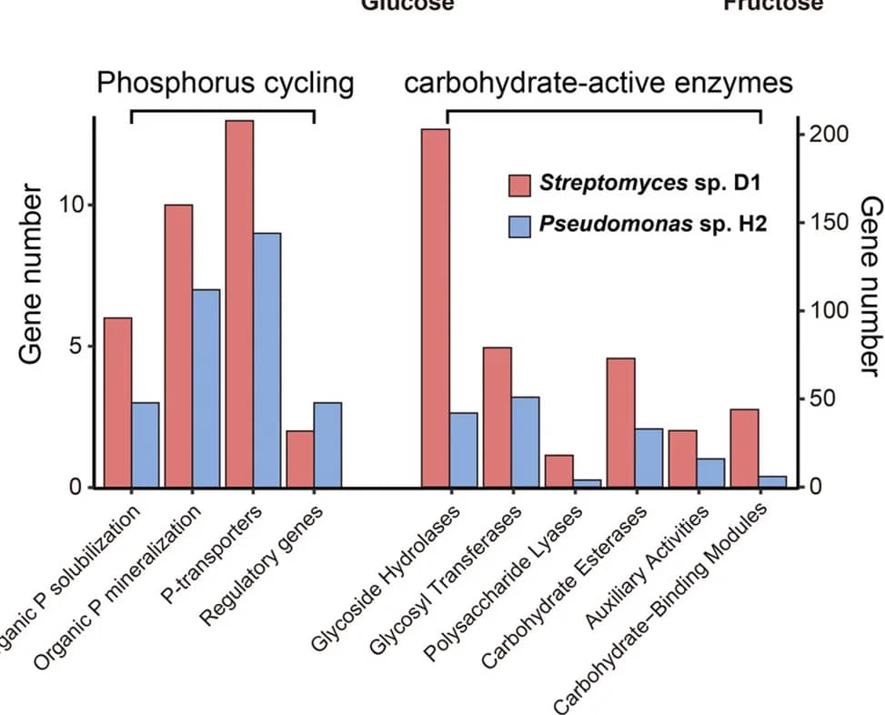 Open access visualization of Bar Plot, Clustered, Genes, Phosphorus Cycling, Carbohydrate Active Enzymes
