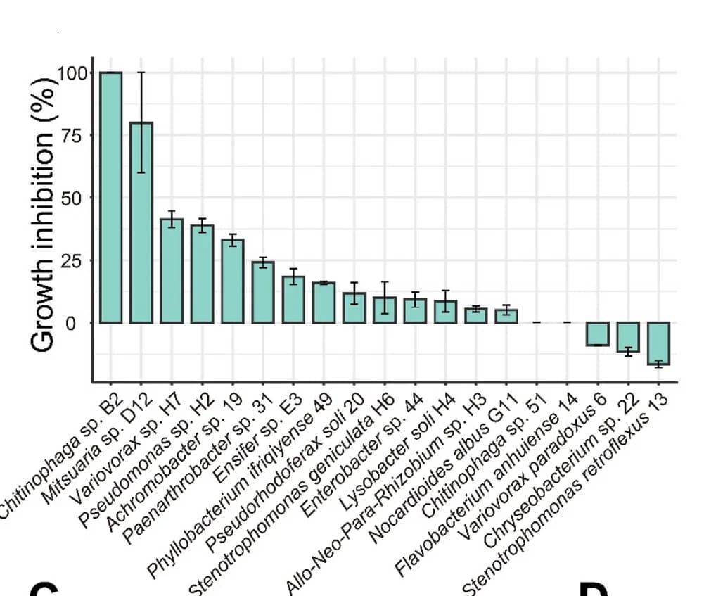 Open access visualization of Bar Plot, Error Bars, Growth Inhibition, Streptomyces sp. D1, Bacteria