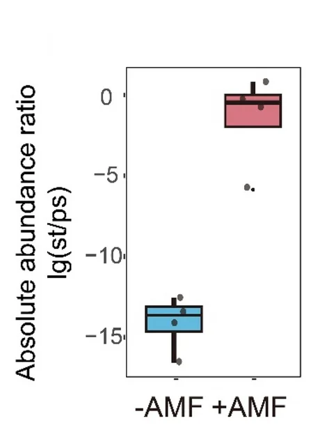 Open access visualization of Box Plot, Scatter Plot, Ratio, Abundance, Streptomyces sp. D1