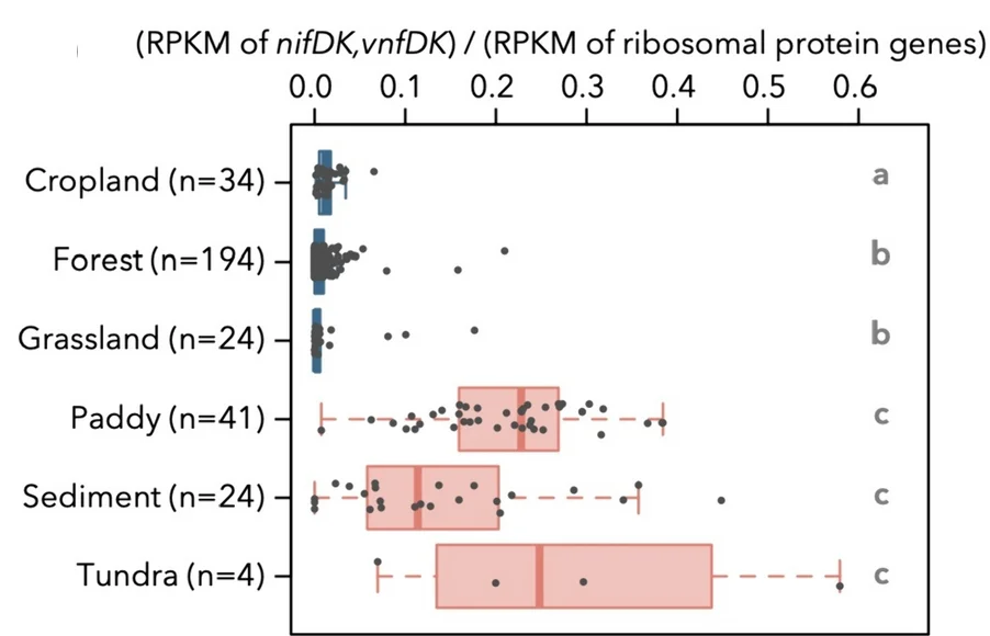 Open access visualization of Box Plot, Scatter Plot, Nitrogen-Fixing Population, Metagenomic Datasets, Nitrogenase genes