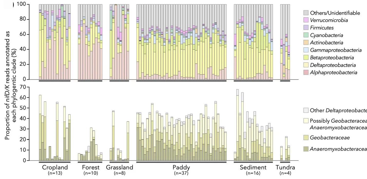 Open access visualization of Stacked Bar Plot, Phylum, Proteobacterial Class, Deltaproteobacteria, Family