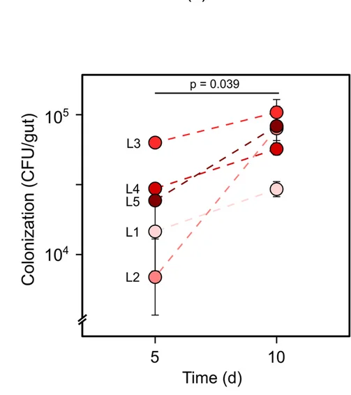 Open access visualization of Scatter Plot, Line Plot, Error Bars, Bacterial Colonization, Bees