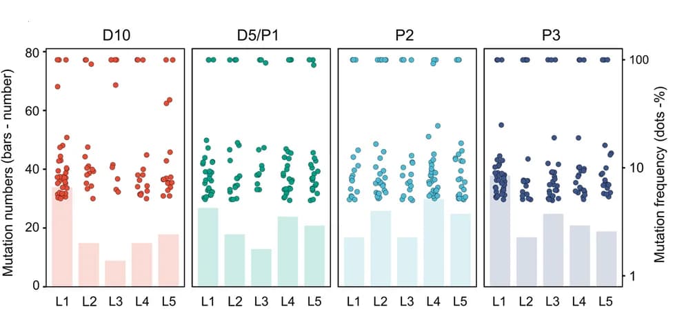 Open access visualization of Bar Plot, Scatter Plot, Mutations, Bacterial Colonies, Gut Homogenate