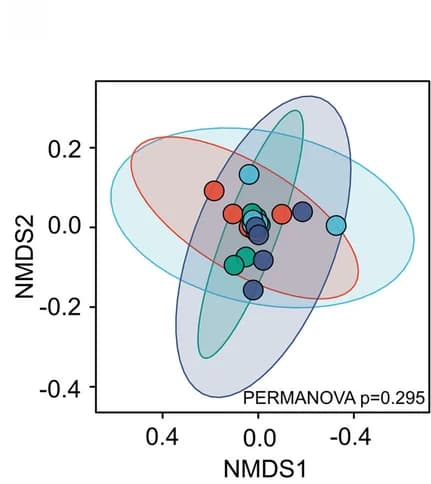 Open access visualization of Scatter Plot, PCA, UMAP, NMDS, Bray-Curtis Dissimilarity