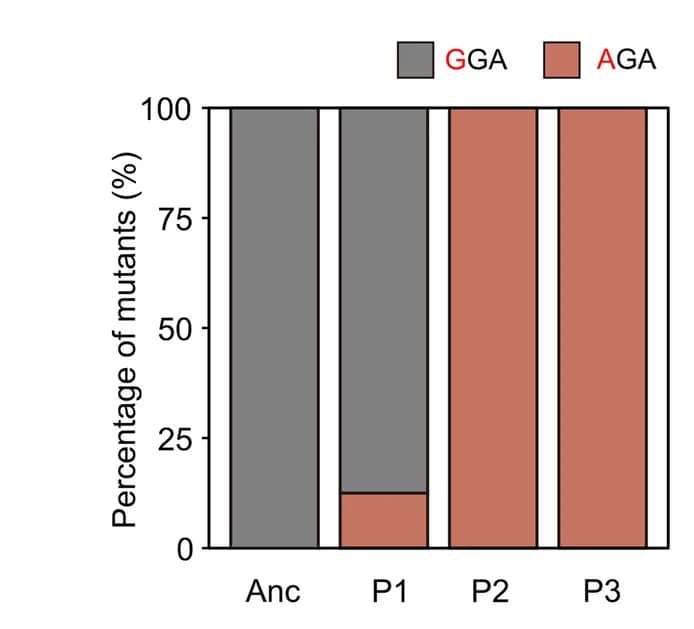 Open access visualization of Stacked Bar Plot, PCR, Variants, Isolated Strains, Polymorphism