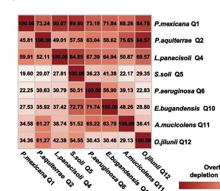 Open access visualization of Heatmap, Metabolomic Features, Strain, Shared Metabolites, Depleted Metabolomic Features