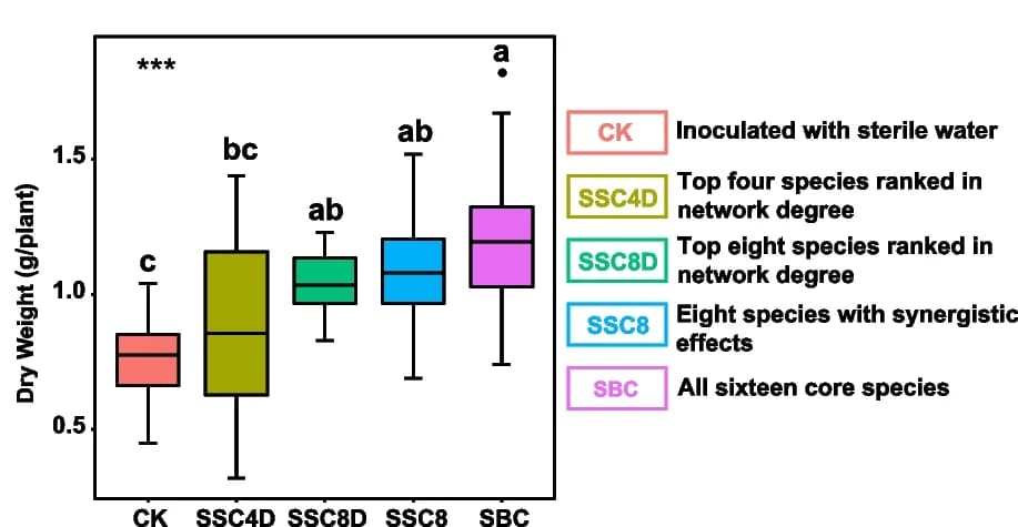 Open access visualization of Box Plot, Dry Weight, Plants, Significant Differences