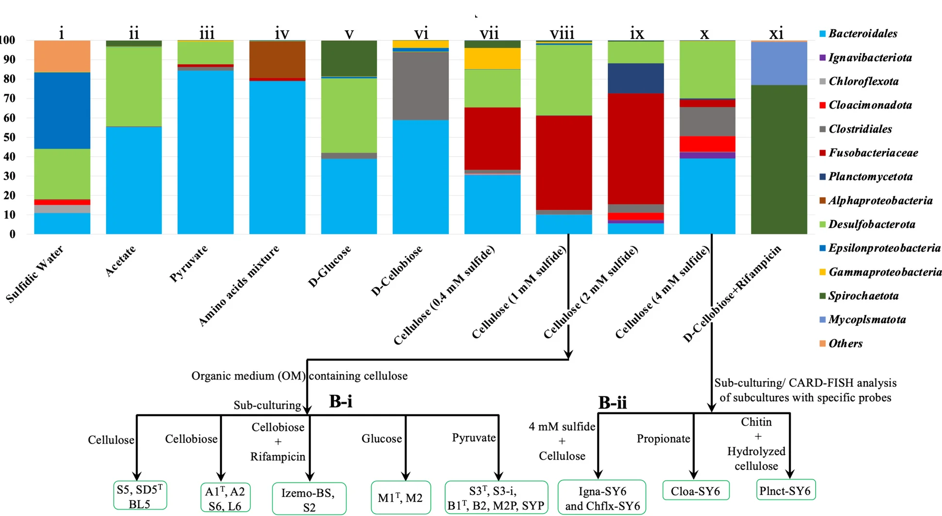 Open access visualization of Stacked Bar Plot, Workflow, 16S rRNA Gene Amplicon Sequencing, Prokaryotic Phyla, Enrichments