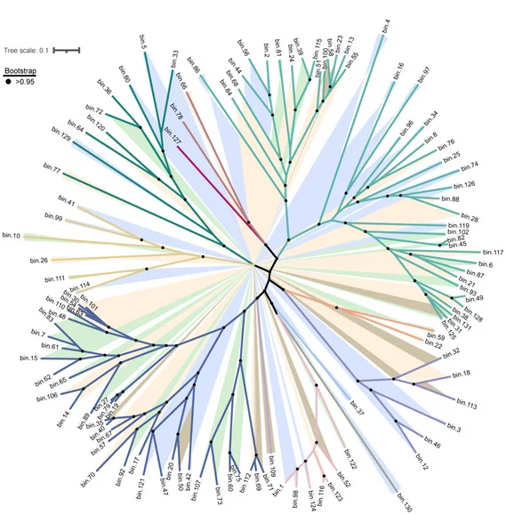 Open access visualization of Network, Pathway, Phylogenetic Tree, Bacterial MAGs, Salinity