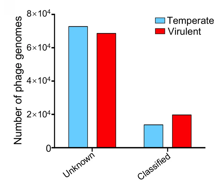 Open access visualization of Bar Plot, Clustered, Temperate Phages, Virulent Phages, Gut Phages