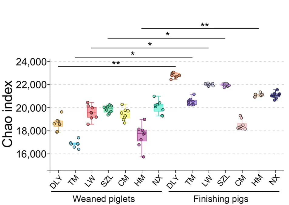 Open access visualization of Box Plot, Scatter Plot, Chao Index, Gut Phage Communities, Kruskal-Wallis Test