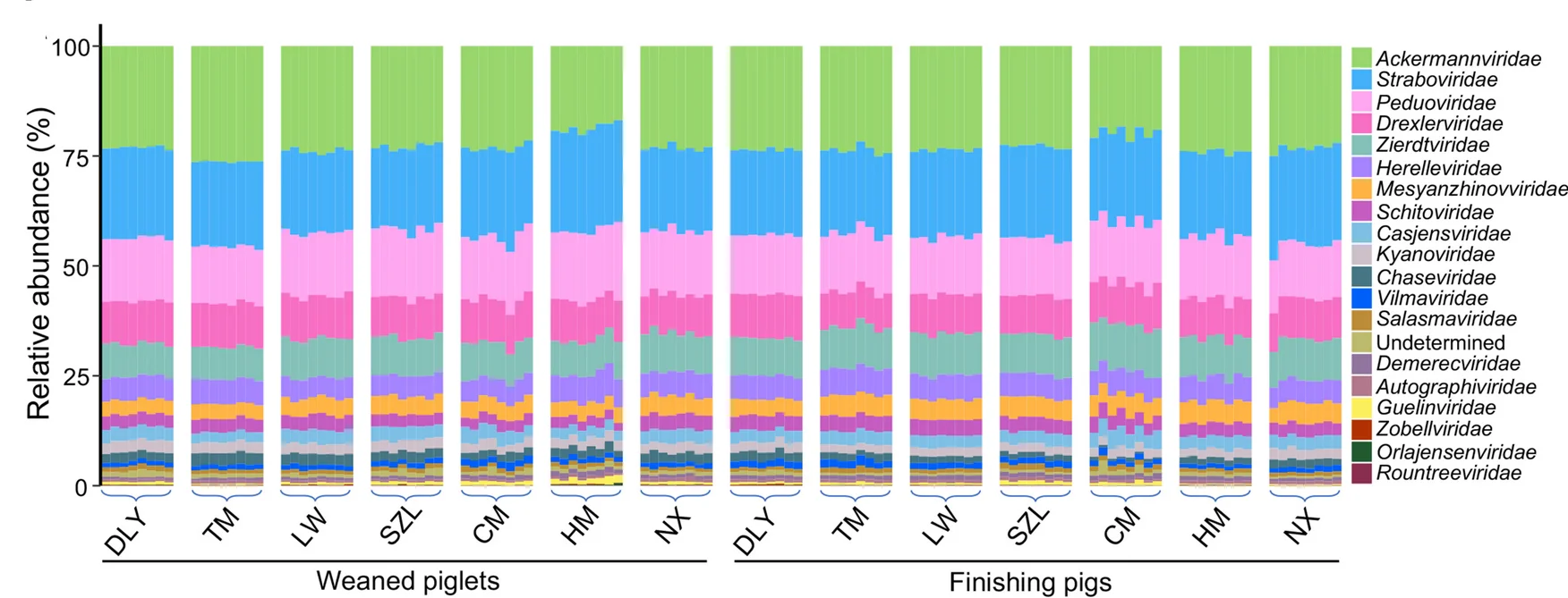 Open access visualization of Stacked Bar Plot, Taxonomic Composition, Gut Phages, Pigs, Family Level