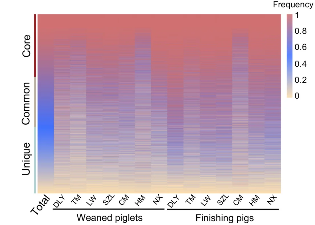 Open access visualization of Heatmap, Heatmap Analysis, Gut Phages