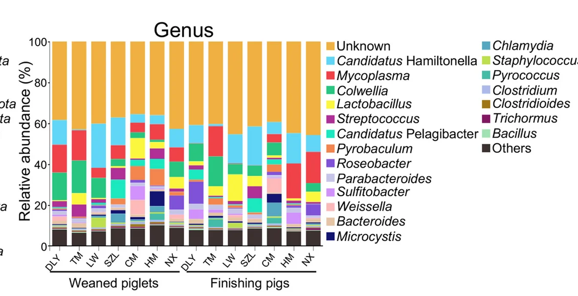 Open access visualization of Stacked Bar Plot, Host Prediction, Gut Phages, Pigs, Taxonomic Composition