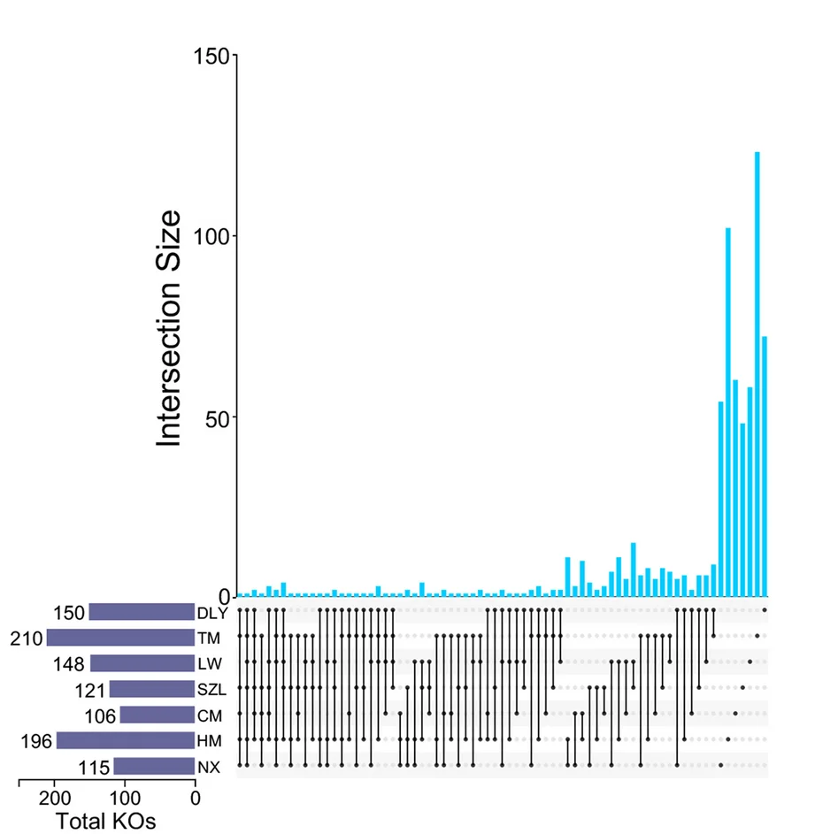 Open access visualization of Bar Plot, UpSet, UpSet Plot, KOs, Pig Breeds