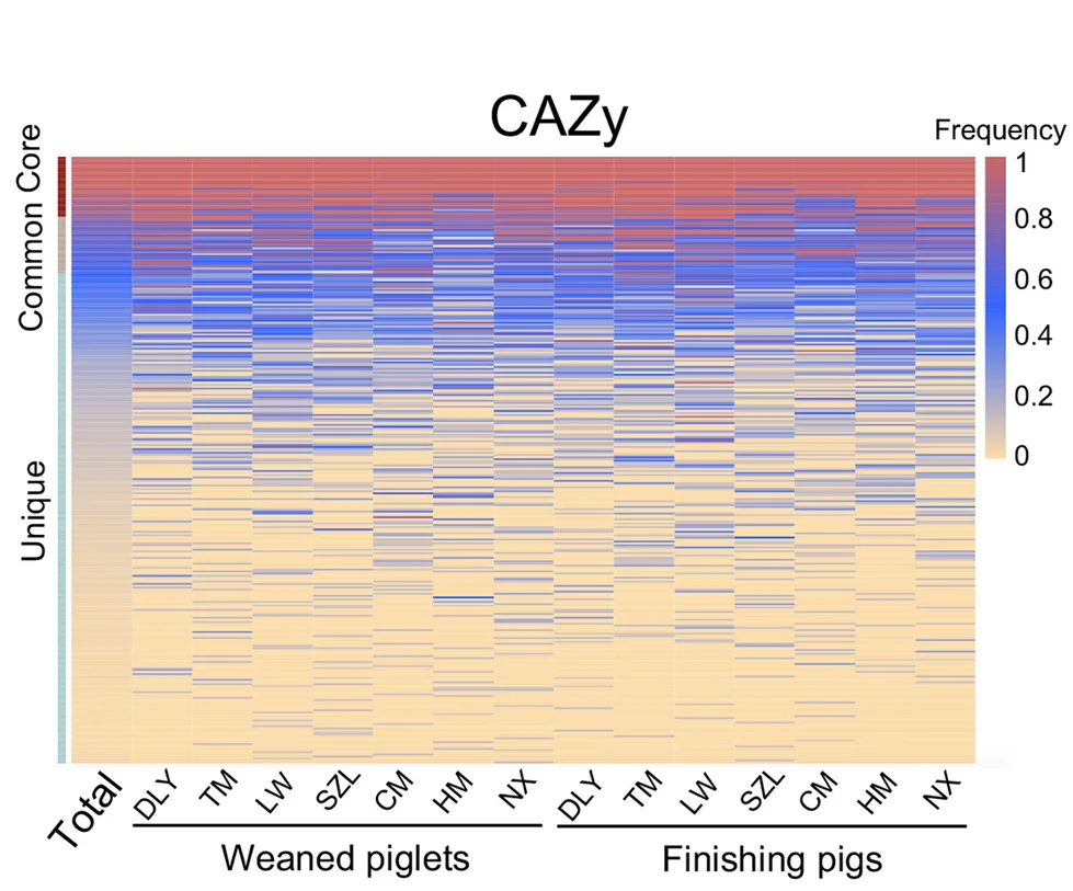 Open access visualization of Heatmap, Heatmap Analysis, CAZys, Gut Phages, Core CAZys