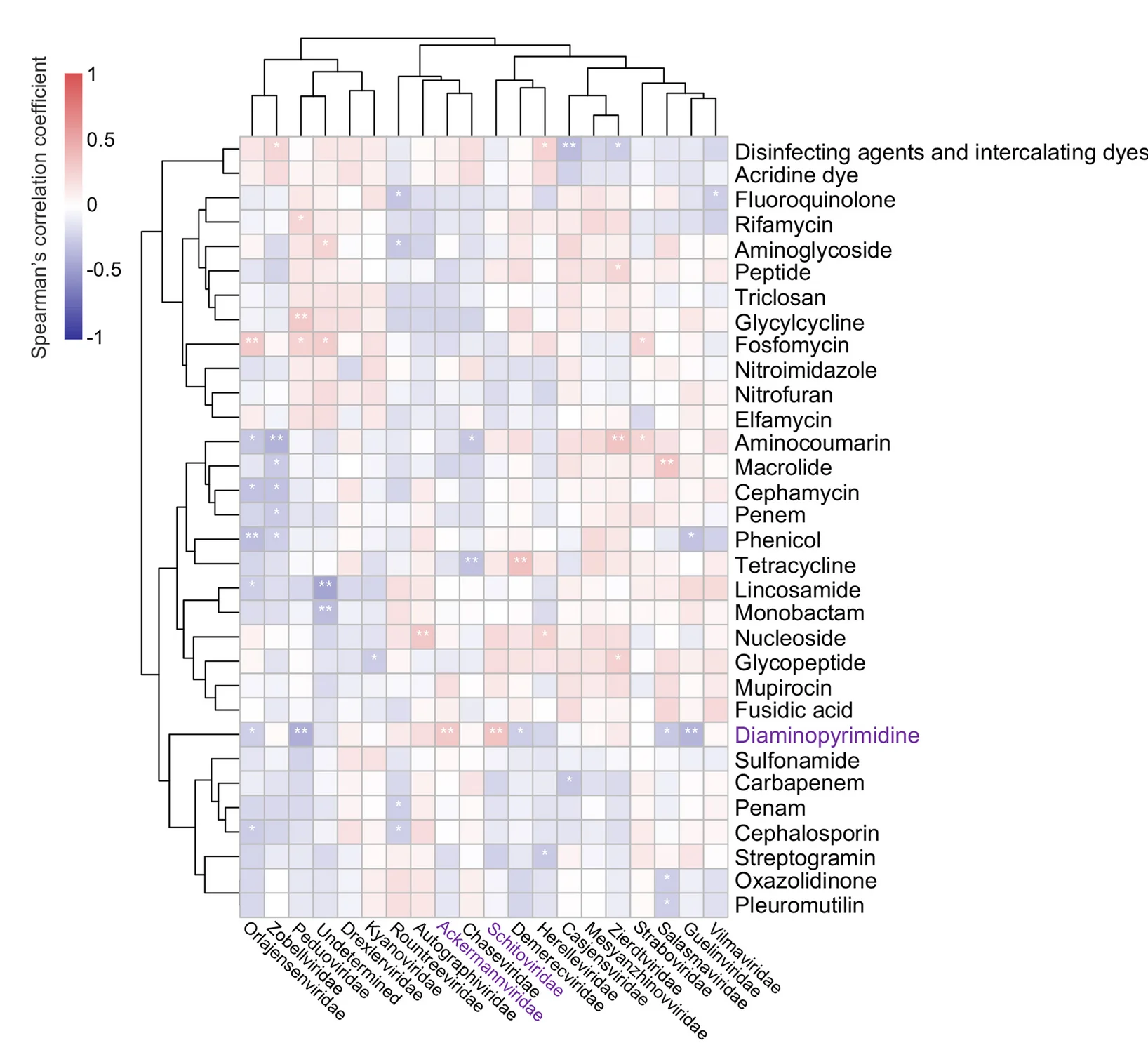 Open access visualization of Heatmap, Clustered, Gut Phages, Antimicrobial Resistance Types, Spearman Correlation