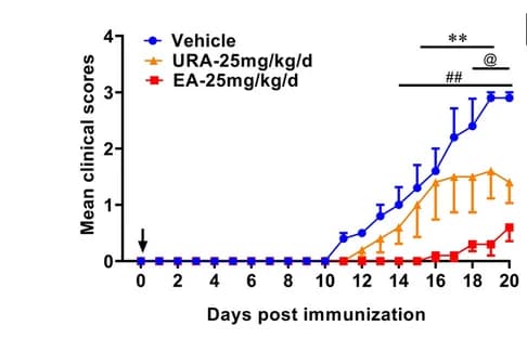 Open access visualization of Line Plot, Error Bars, Disease Score, Vehicle, EA