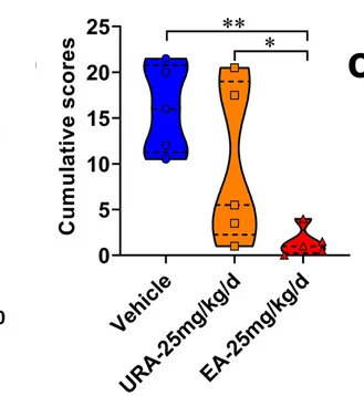 Open access visualization of Violin Plot, EAE, Clinical Score