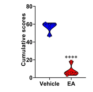 Open access visualization of Violin Plot, Cumulative Score, Clinical Score