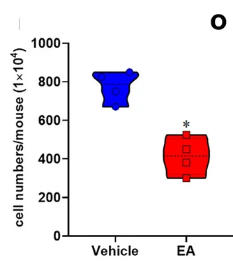Open access visualization of Violin Plot, Box Plot, Mononuclear Cells, CNS