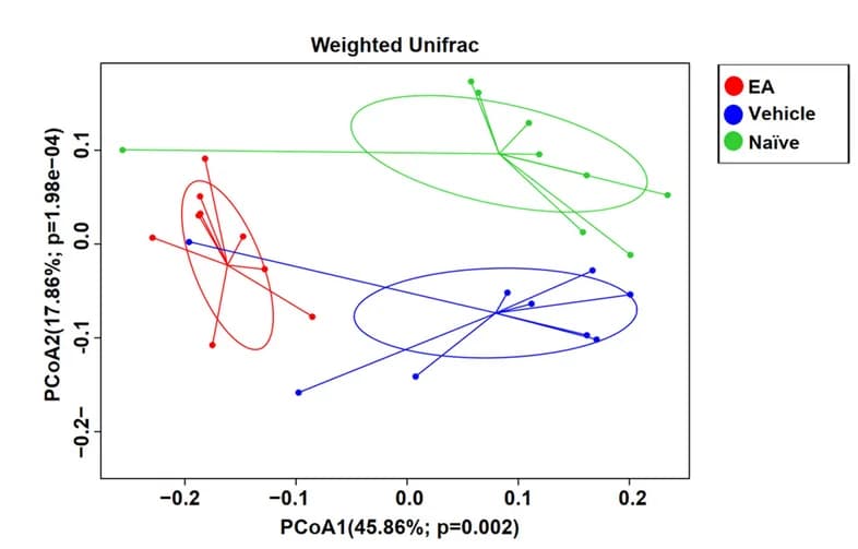 Open access visualization of Scatter Plot, PCA, PCoA Analysis, Naive, Vehicle