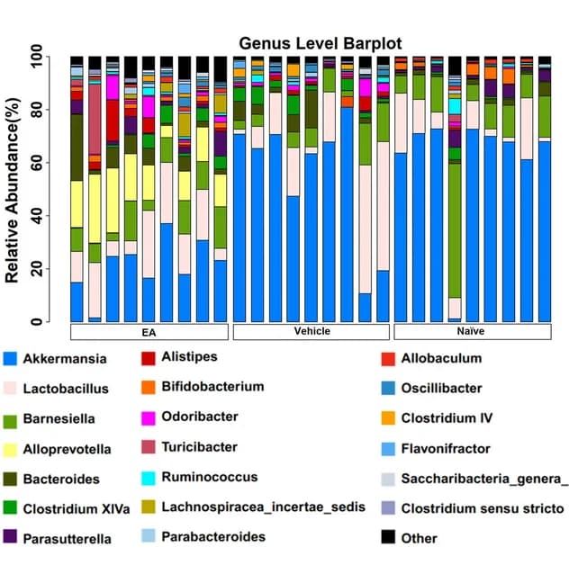 Open access visualization of Stacked Bar Plot, Bar Plot, Gut Microbiota, Genus Level, Relative Abundance